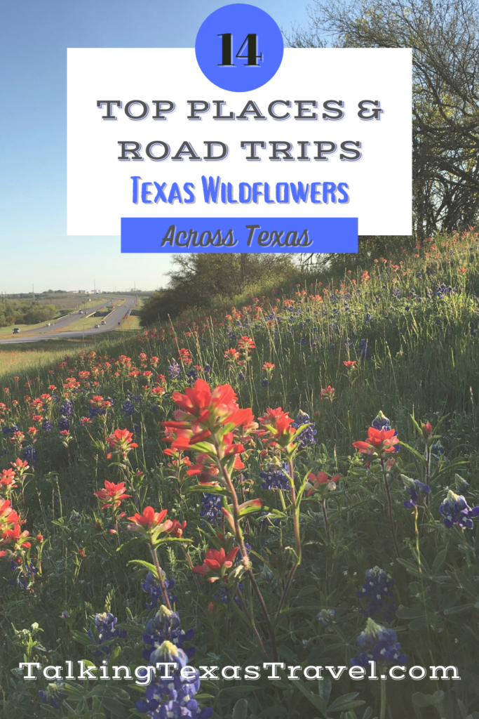 Seeing the Texas Wildflowers in the Springtime is a traditon for residents and visitors alike. Make a day of it and road trip down some Texas Hill Country roads to see the best patches of Texas Wildflowers. You can even make it a weekend to remember and camp in one of the Texas State Parks known for Texas Wildlflowers. Also included where to learn more about Texas Wildflowers and the most popular wildflowers. Best Texas Wildflower Road Trips | Where to go camping in the Texas Hill Country | Best spots for Wildflower photos in Texas #Texas #wildflowers